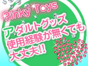 PINKY TOY'S(ピンキートイズ)の求人アピール画像